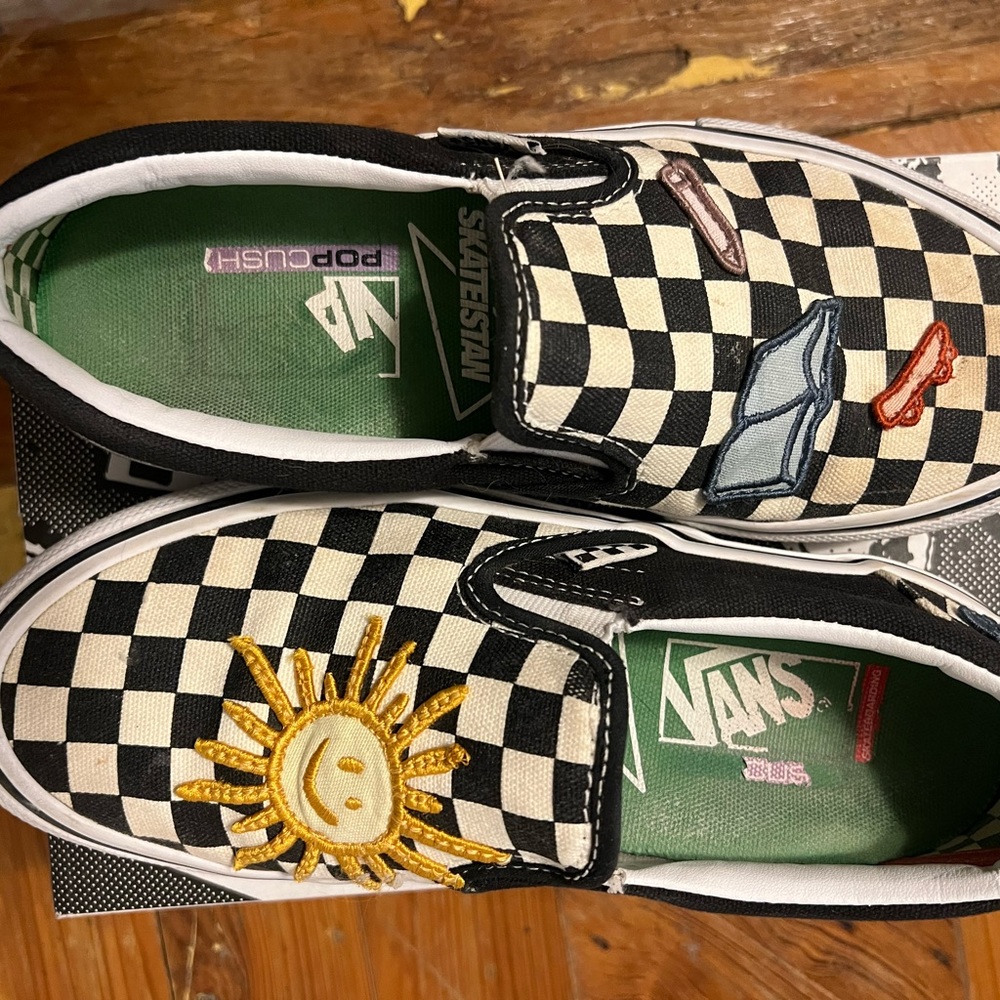 Vans checkered Skateistan slipons